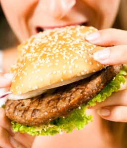 hamburger-257x300