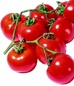 pomodori-257x300