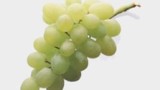 Più leggera con la dieta dell’uva