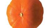 Ringiovanisci con la dieta della zucca!