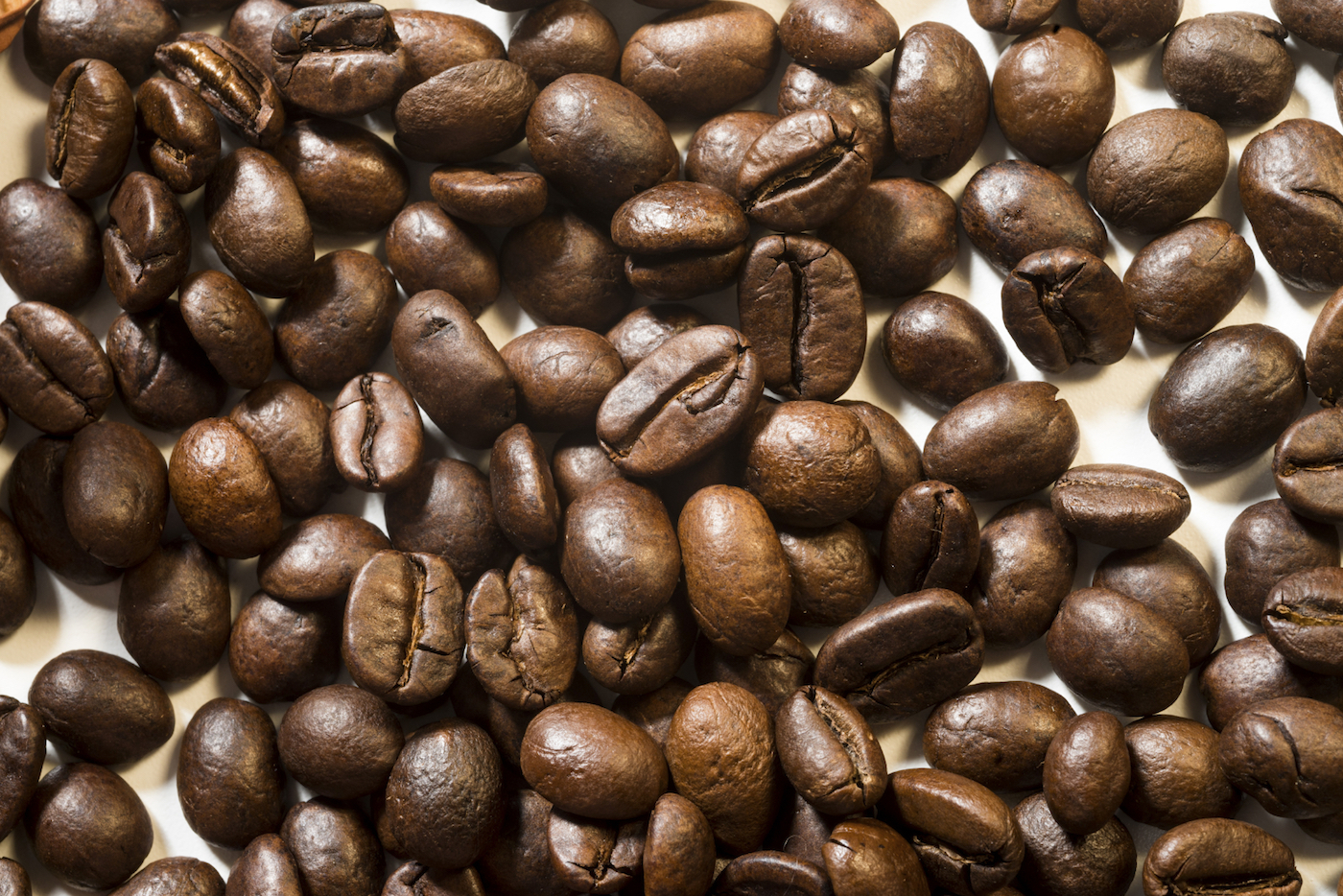Scrub energizzante con la polvere di caffè