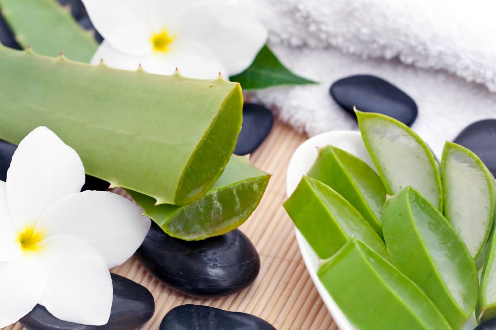 Aloe vera: i migliori modi per usarla