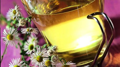 Infuso di camomilla Starbene