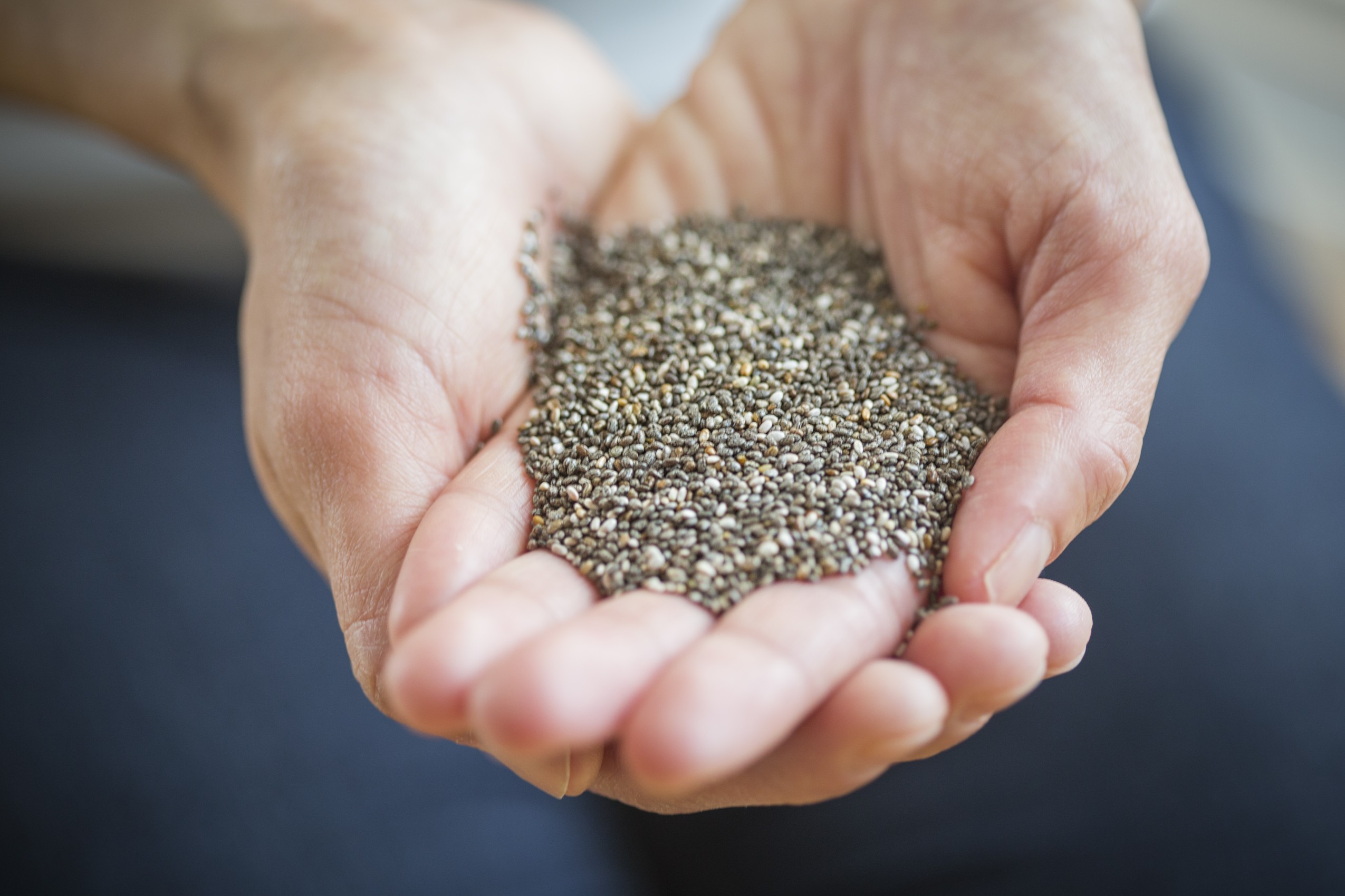 Semi di chia, piccoli e preziosi
