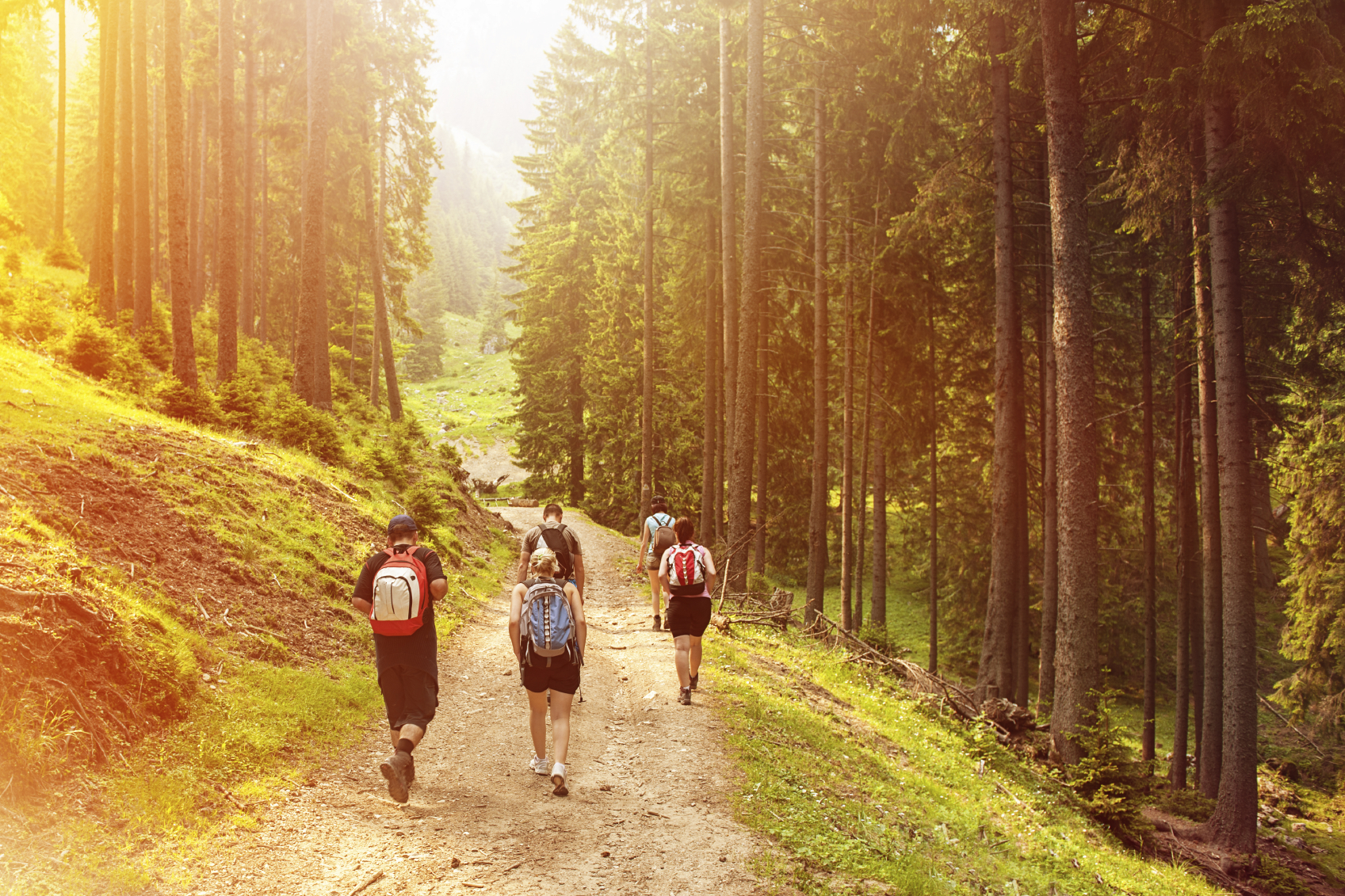 Il trekking alla tua portata Il trekking alla tua portata