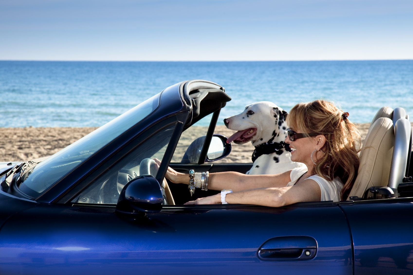 In vacanza con cani e gatti