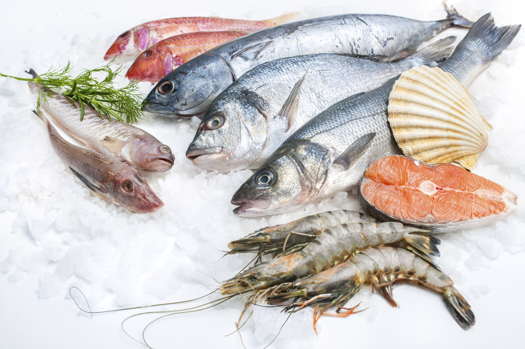 Il pesce sarà sempre più di allevamento: ma è sicuro?