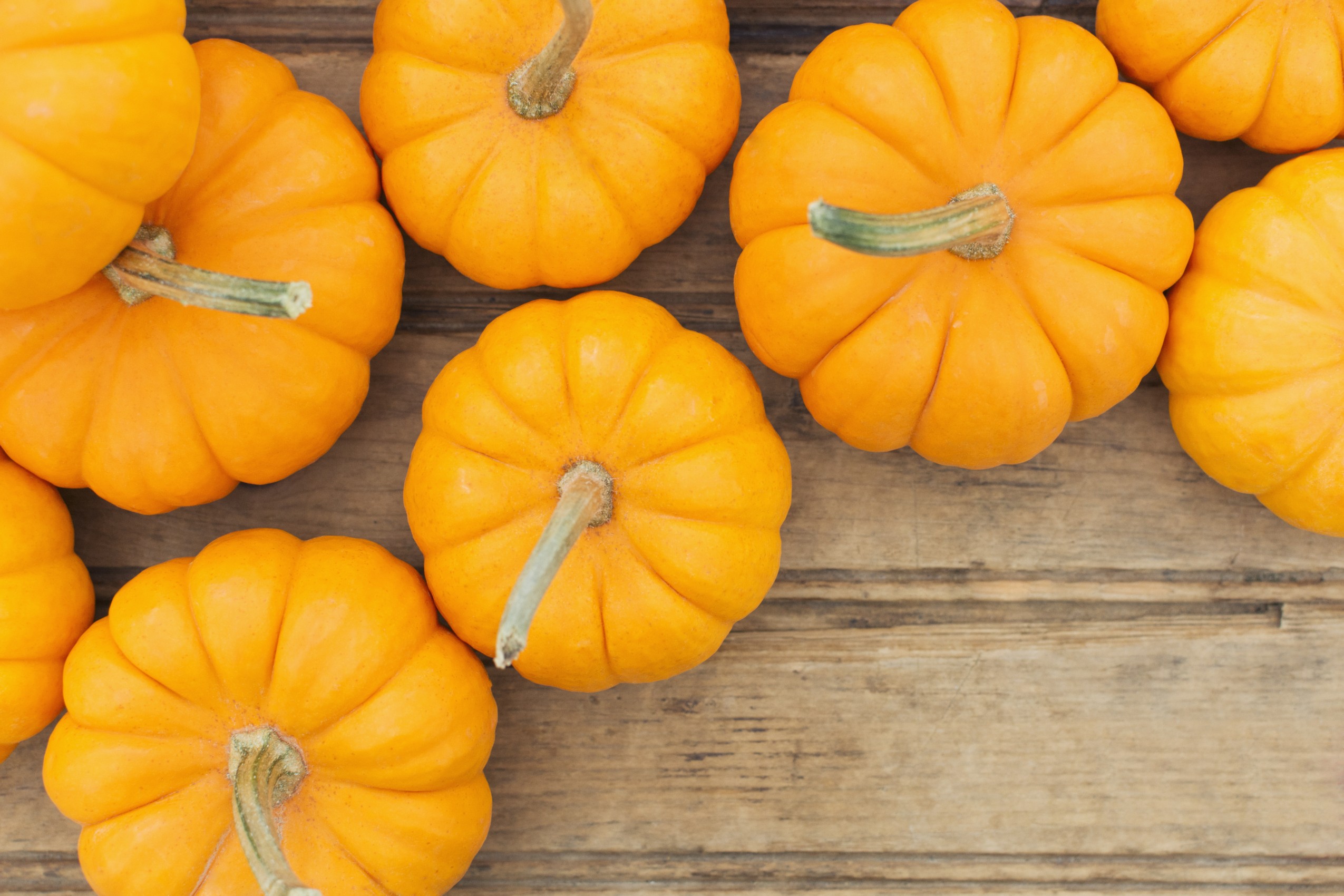Zucca, non solo ad Halloween