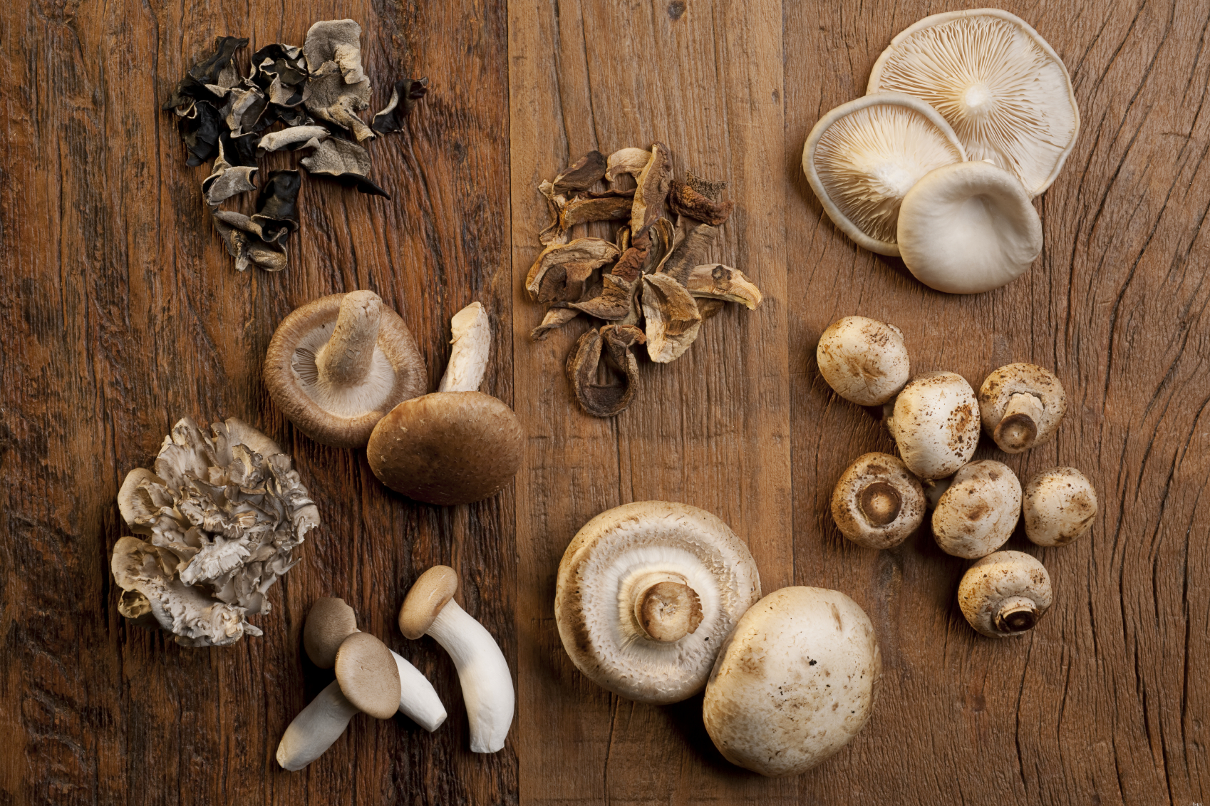 Funghi orientali, una vera medicina naturale
