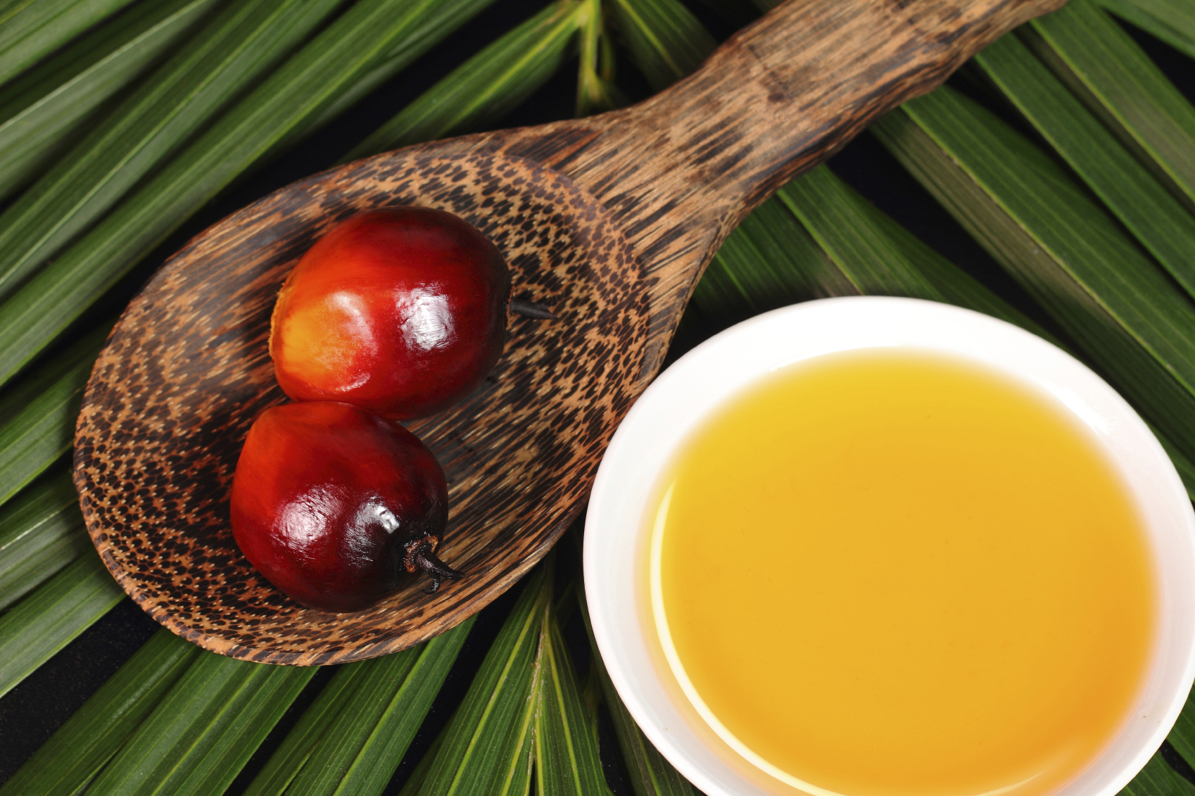 Olio di palma, tutta la verità