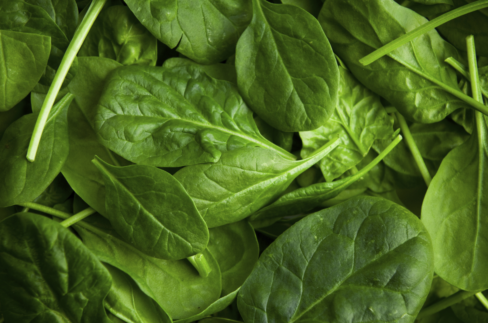 Spinaci, una ricarica di energia