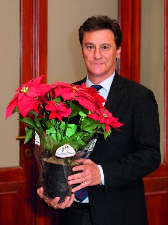 Stelle di Natale, Serie A e Cruciani contro la leucemia Stelle di Natale, Serie A e Cruciani contro la leucemia