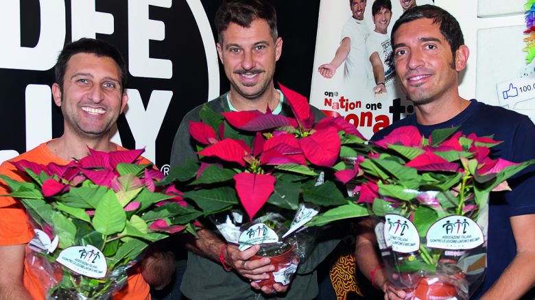 Trio Medusa, testimonial Ail