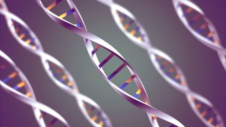 Mappatura genetica: cos’è, a cosa serve, come si fa