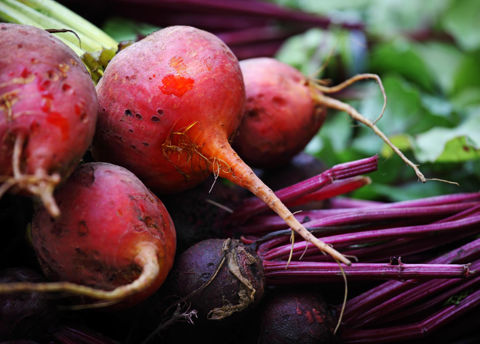 Barbabietole, il supercibo per depurarsi Barbabietole, il supercibo per depurarsi
