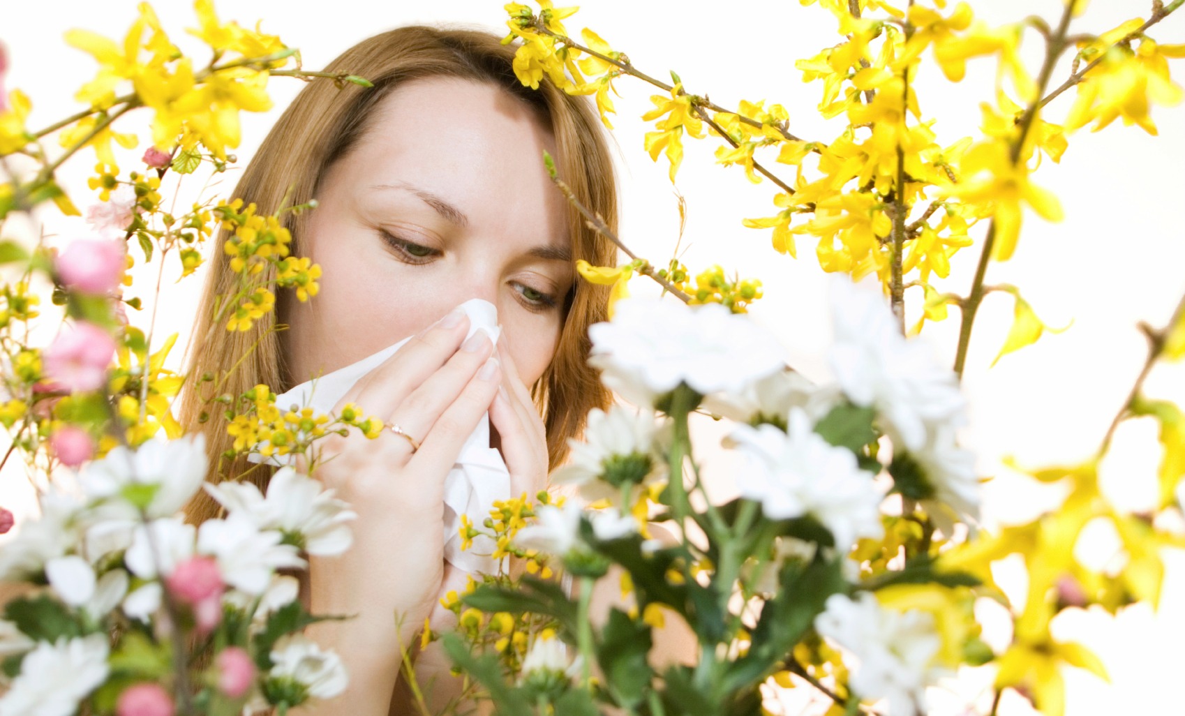 Allergie primaverili: tutte le soluzioni