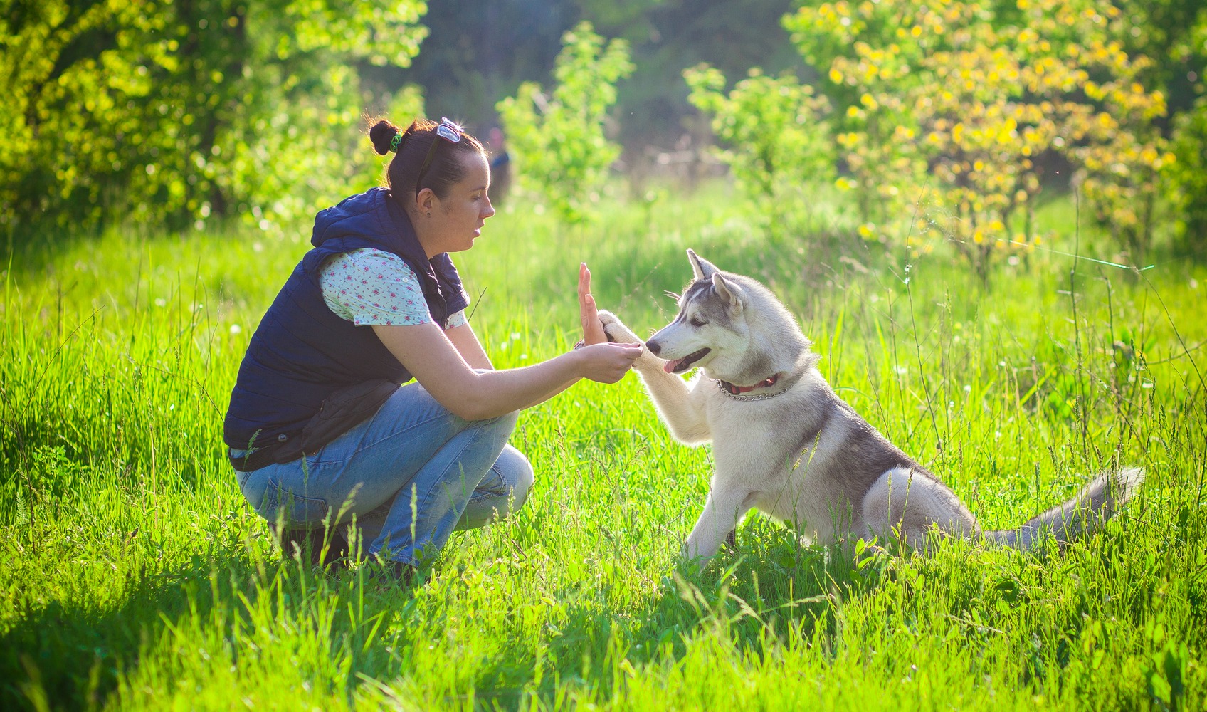 Dog dance, in forma col tuo cane Dog dance, in forma col tuo cane
