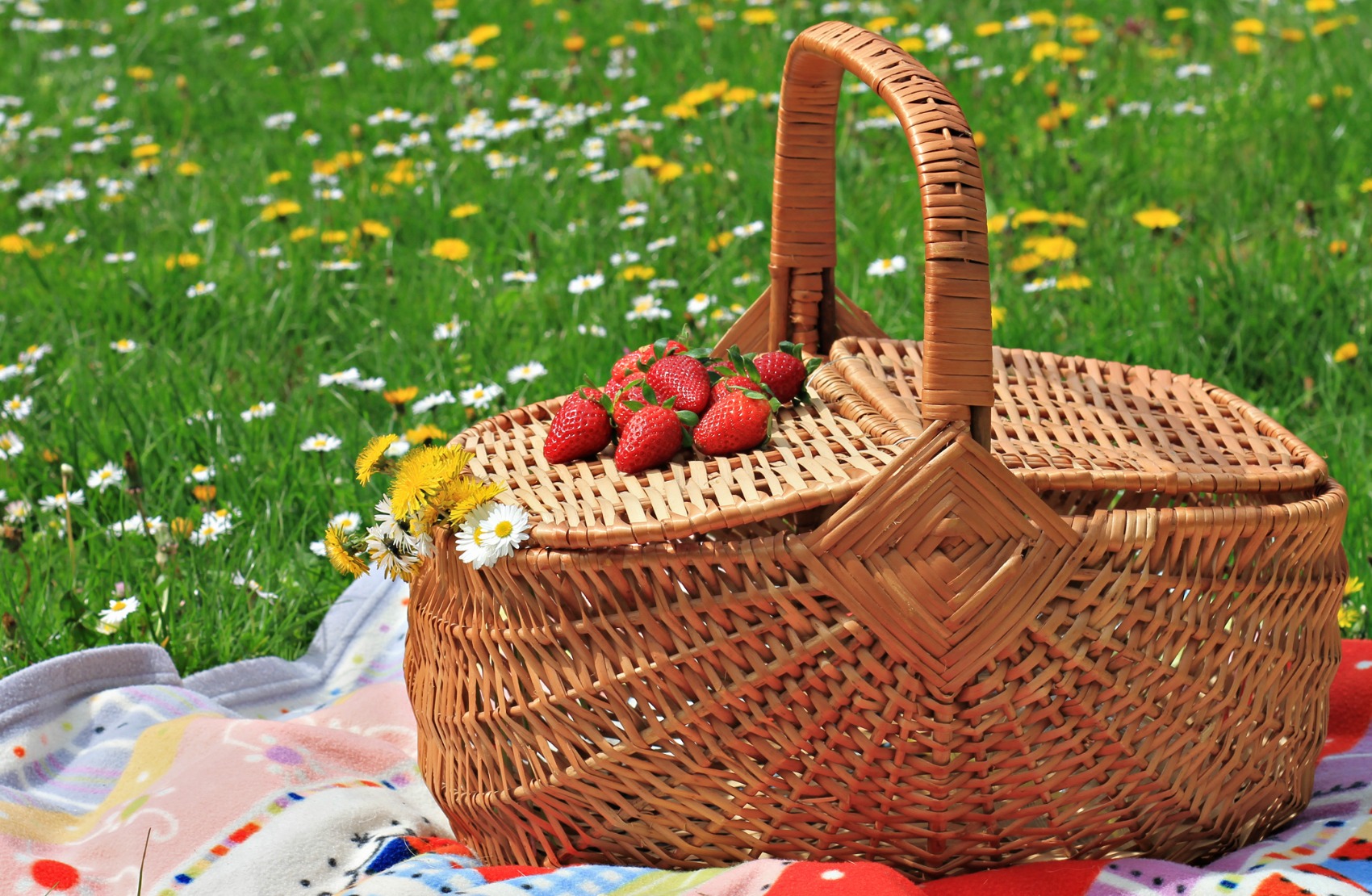 Picnic sano ed equilibrato: idee e consigli per un menù all’aperto