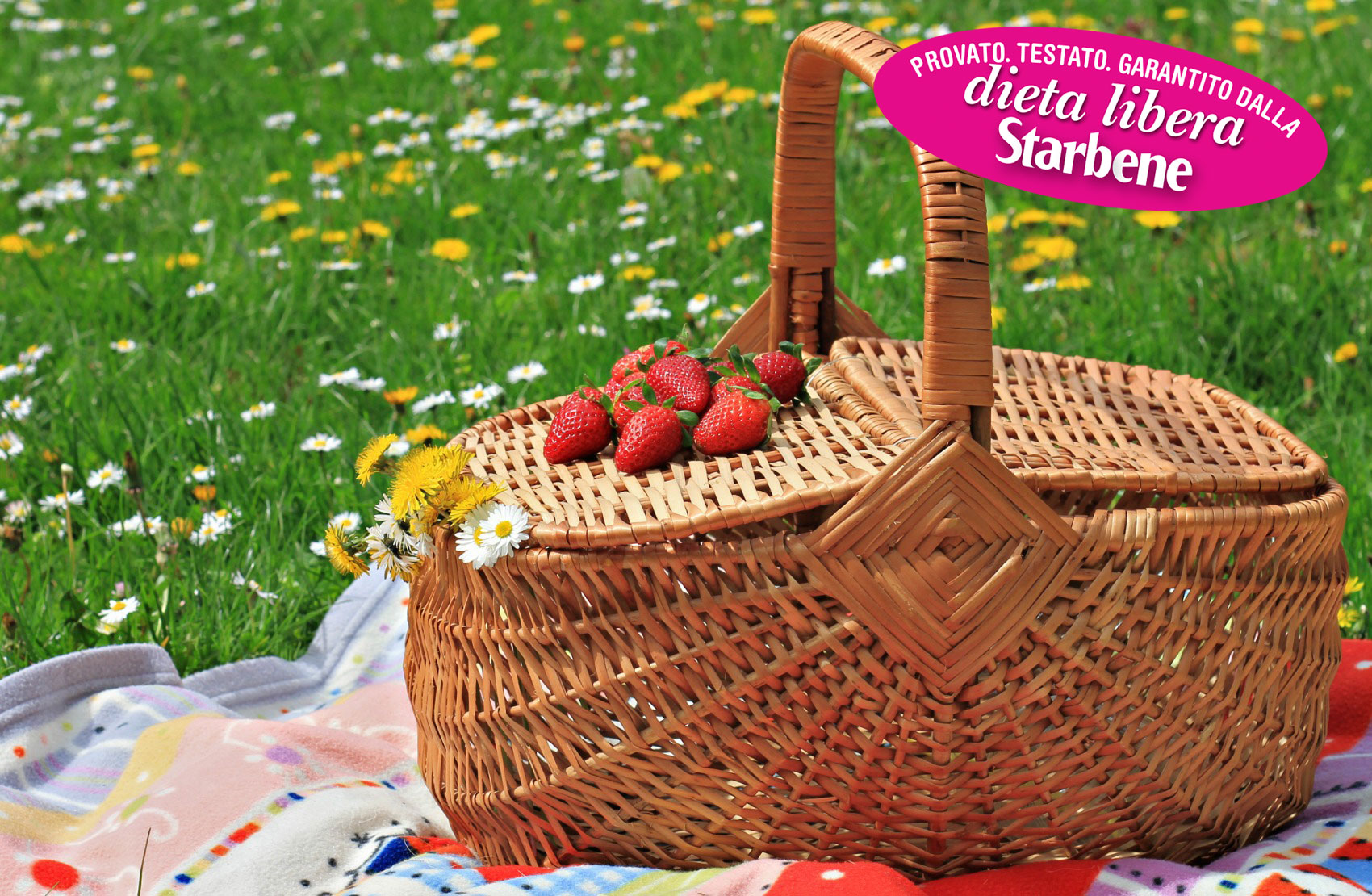 Dieta: il menu leggero per il pic nic