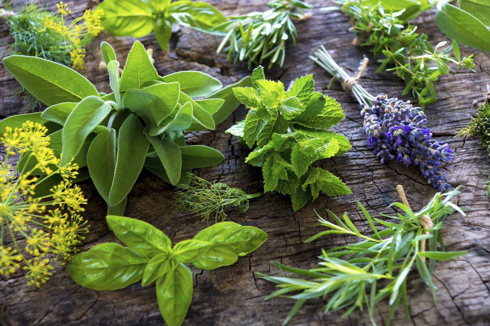 Naturopatia, i rimedi naturali possono sostituire i farmaci?