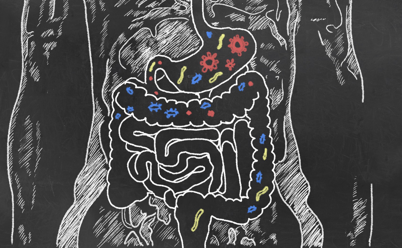 Depressione e intestino: esiste un legame?