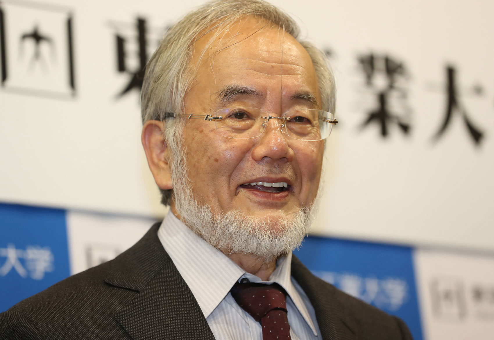 Chi è Yoshinori Ohsumi, il premio Nobel per la Medicina