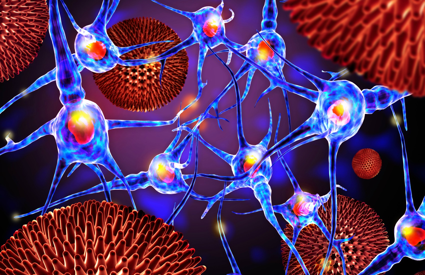 Meningite le novità sui vaccini