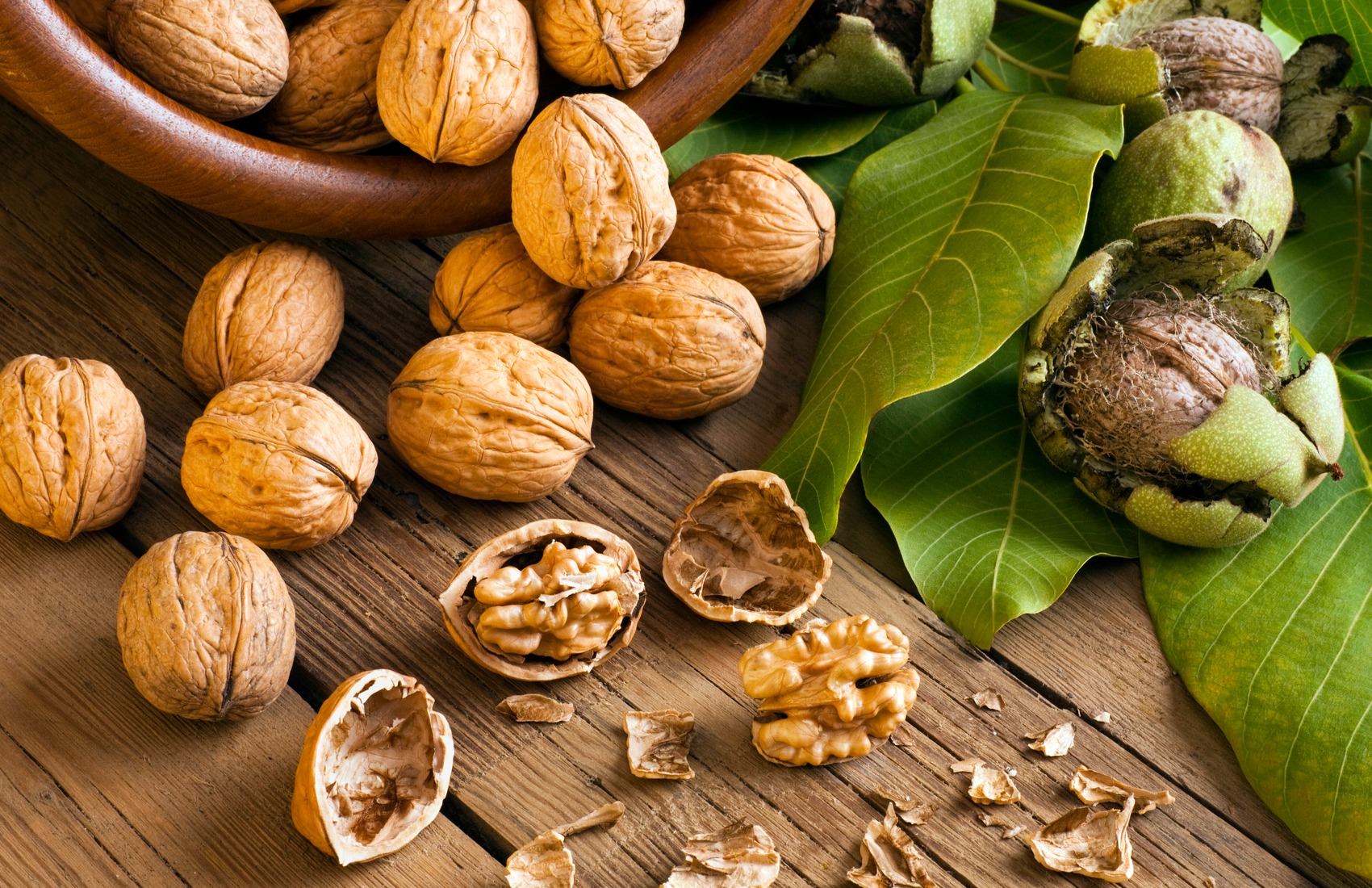 Noci tutte le proprietà