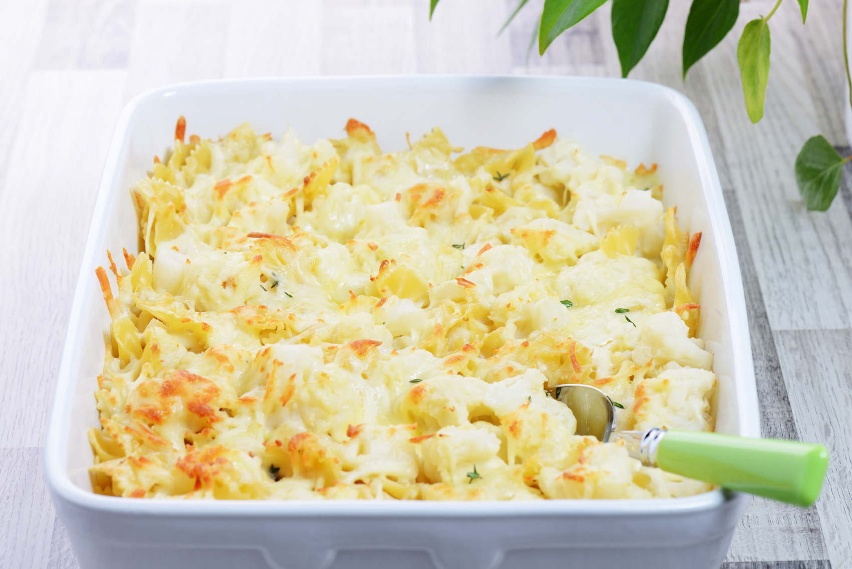 Pasta gratinata col cavolfiore – La ricetta Pasta gratinata col cavolfiore – La ricetta