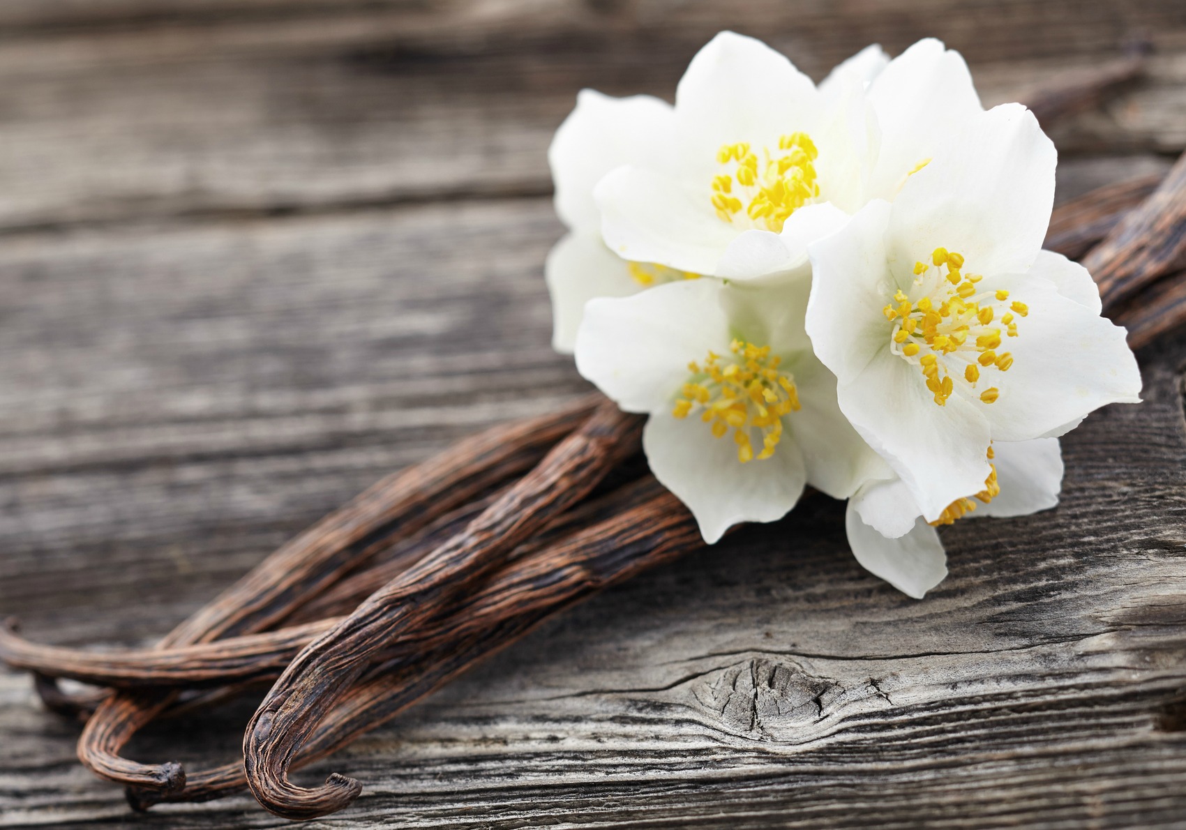 Eau parfumée per il corpo alla vaniglia: la ricetta fai da te