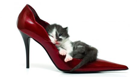 iStock