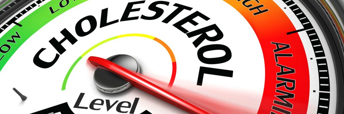 Podcast Il colesterolo, Prof. Bardaro