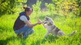 Cani, Sport, Camionisti