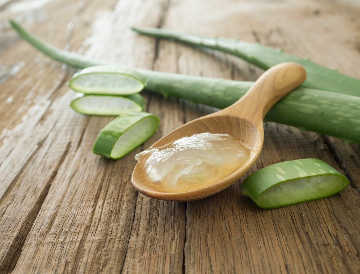 Aloe: come usarla per curarti