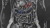 L’intestino, il nostro “secondo cervello”