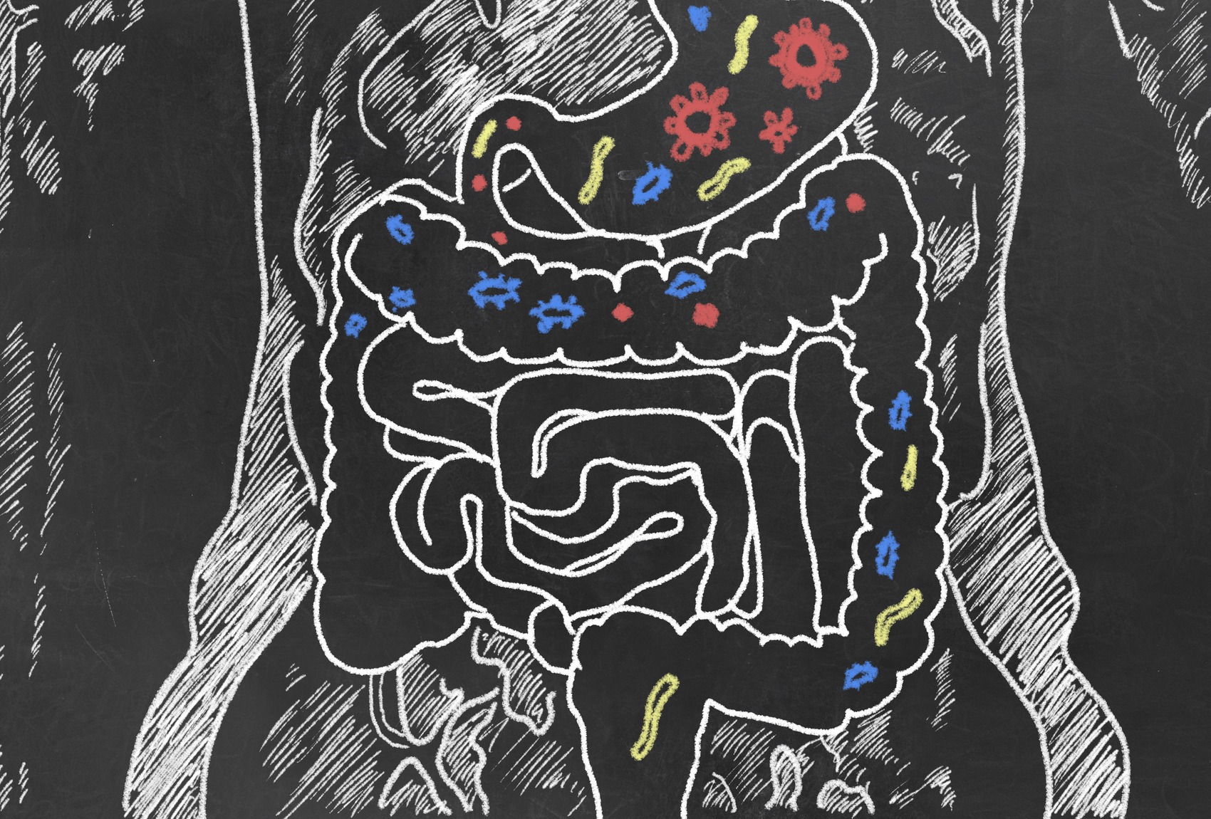 Intestino: le cure naturali per proteggerlo Intestino: le cure naturali per proteggerlo