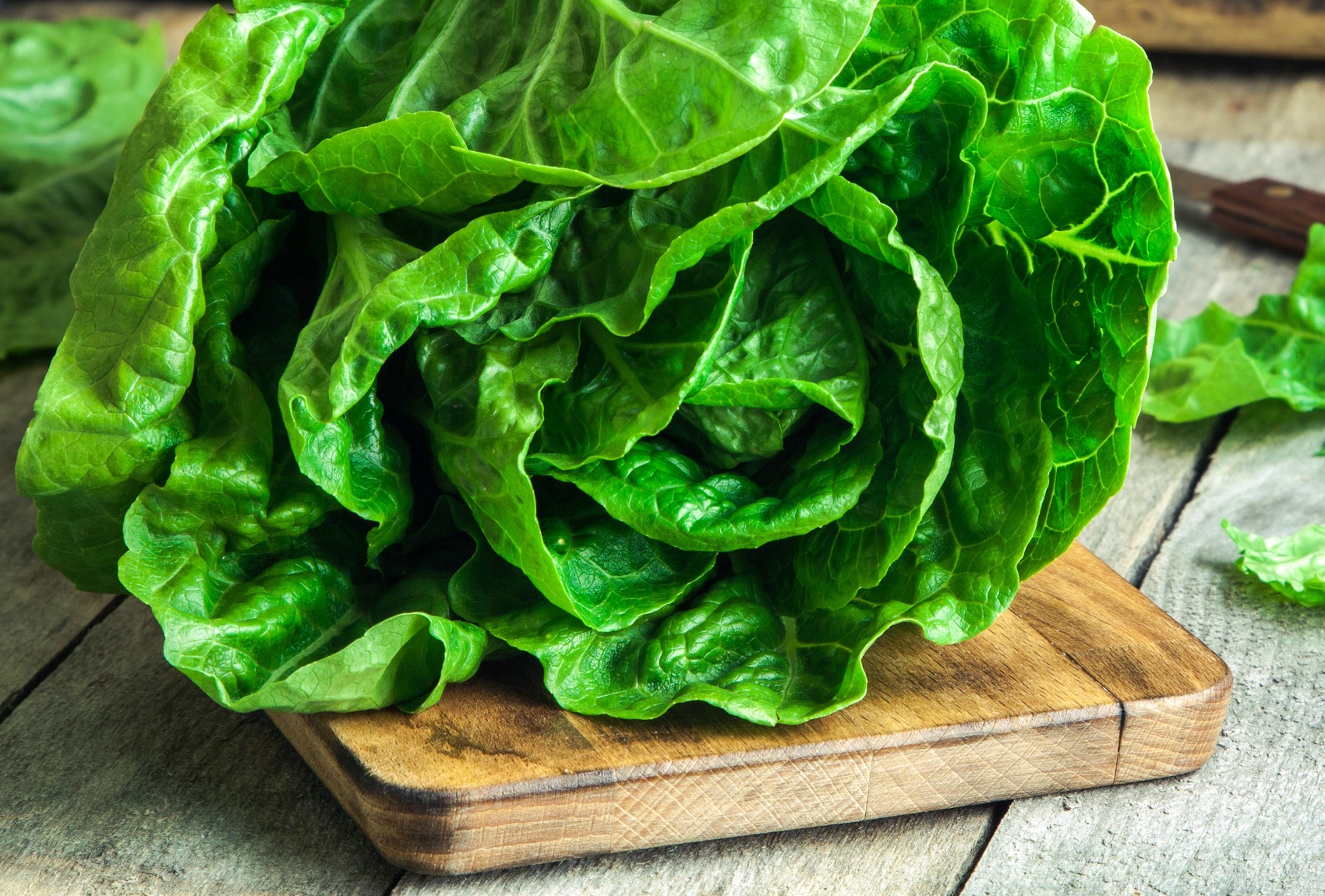 insalate con lattuga per dimagrire
