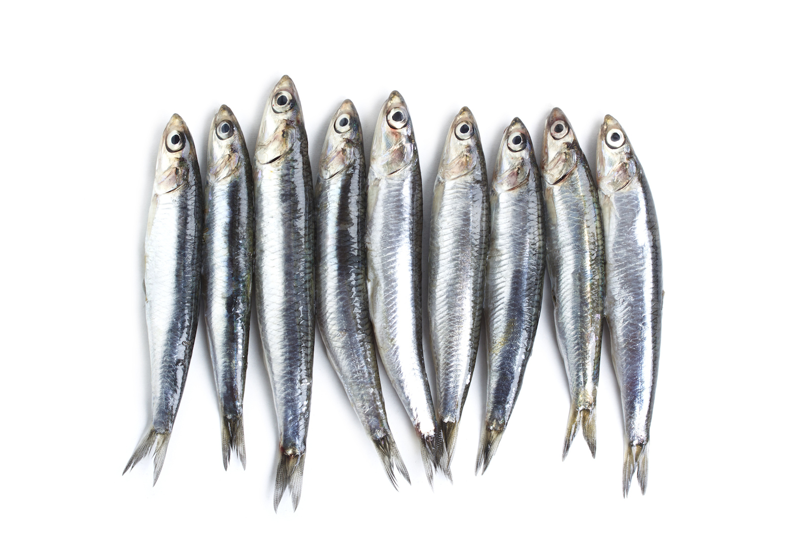 Metodo Lertola: la dieta di marzo a base di pesce