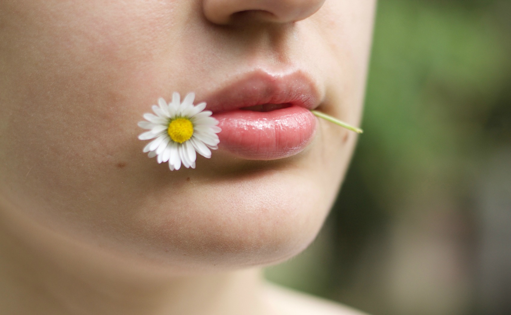 Quattro analgesici naturali per combattere il dolore