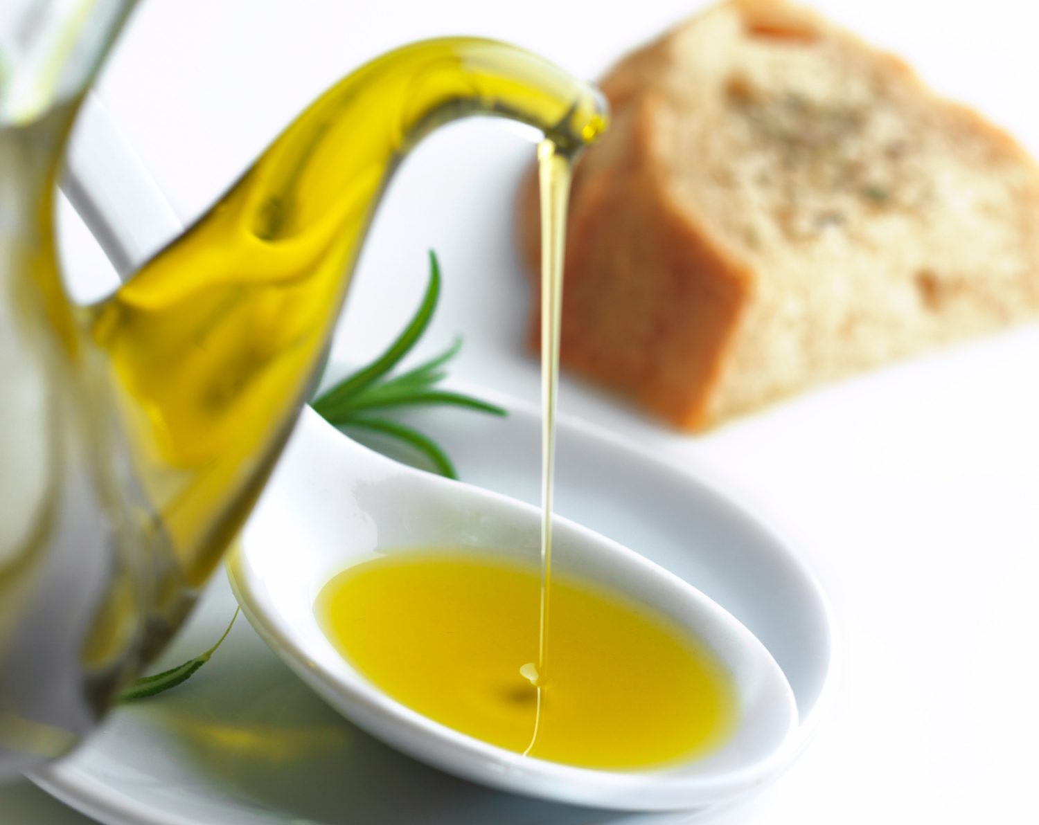 Olio: come scegliere quello giusto Olio: come scegliere quello giusto
