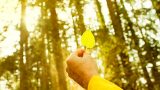 Prevenire la cistite è naturale