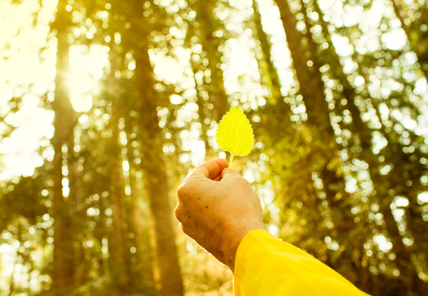 Prevenire la cistite è naturale