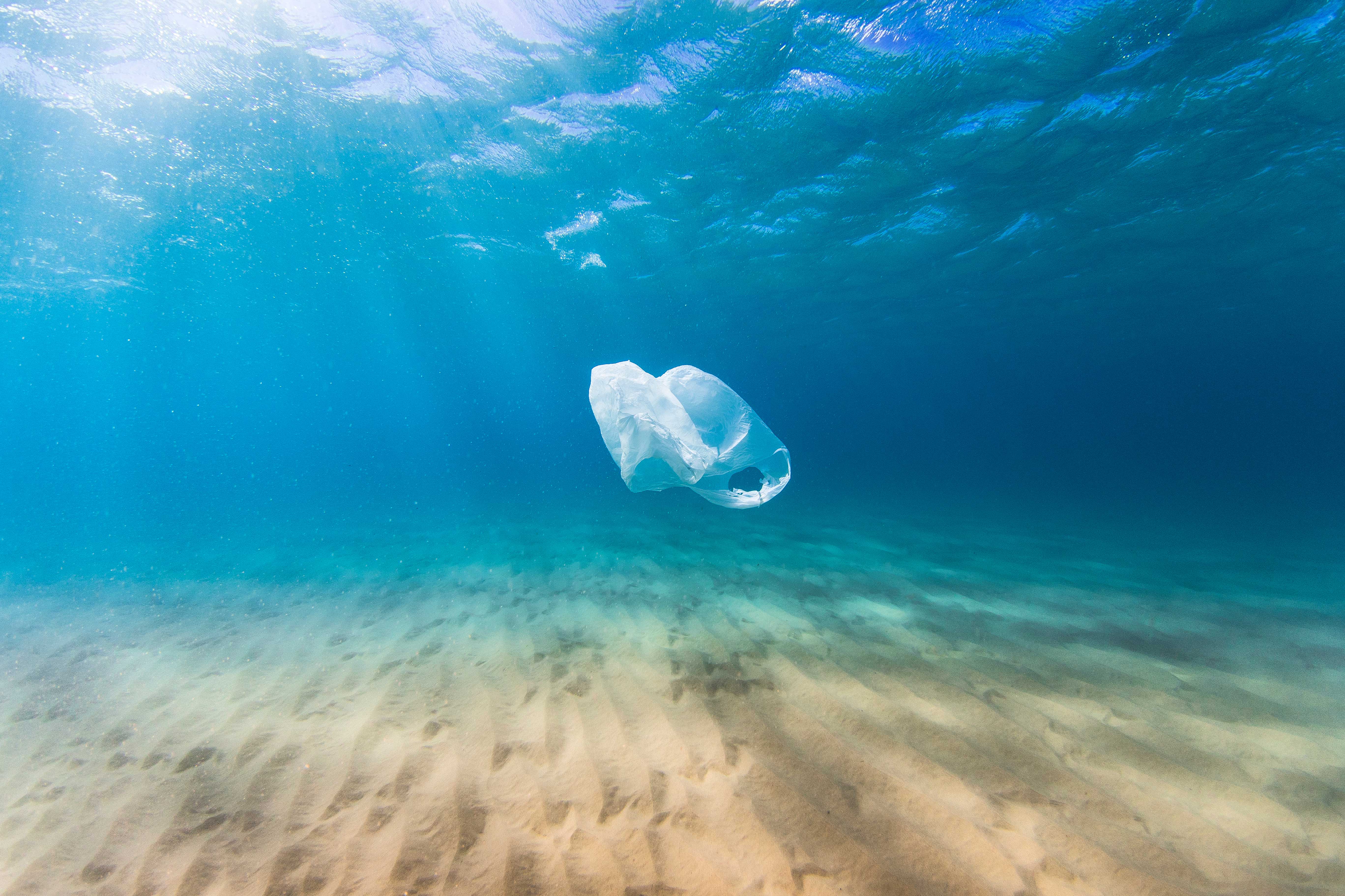 Plastica, perché fa male alla salute e all’ambiente Plastica, perché fa male alla salute e all’ambiente