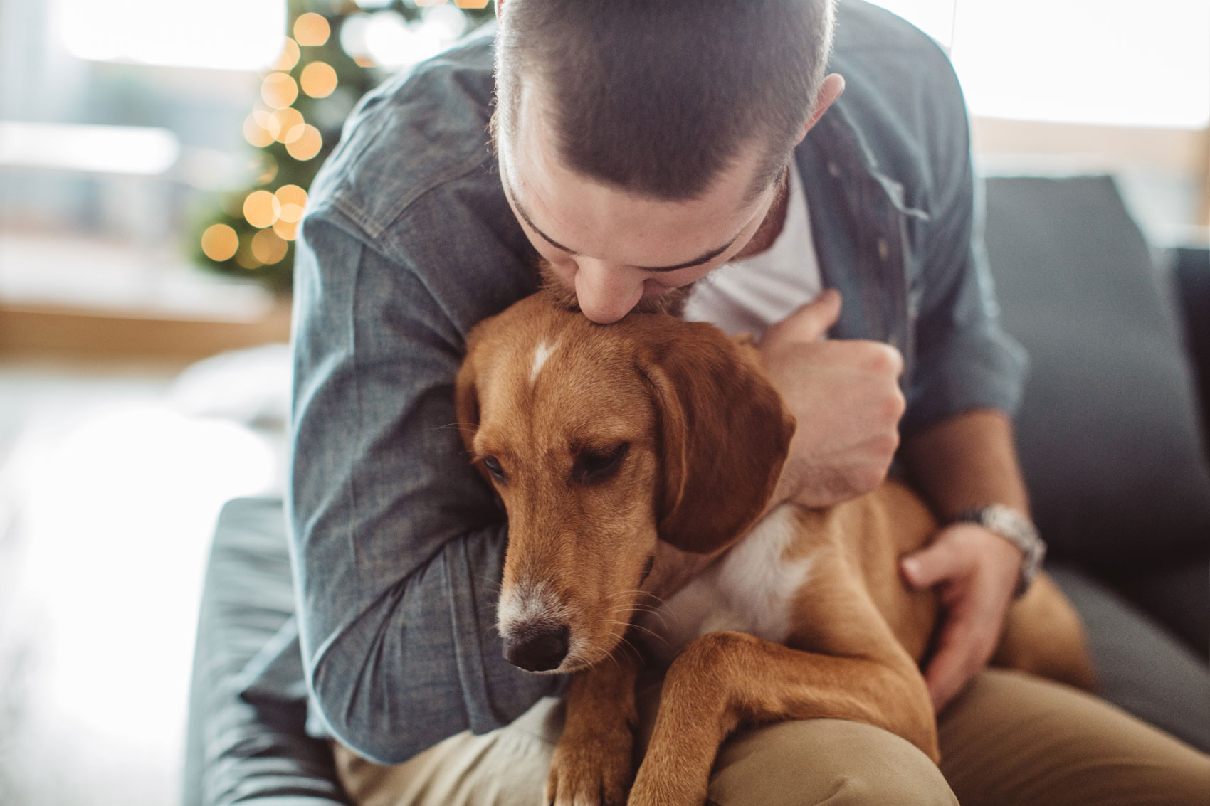 I giochi da fare a casa con il tuo cane