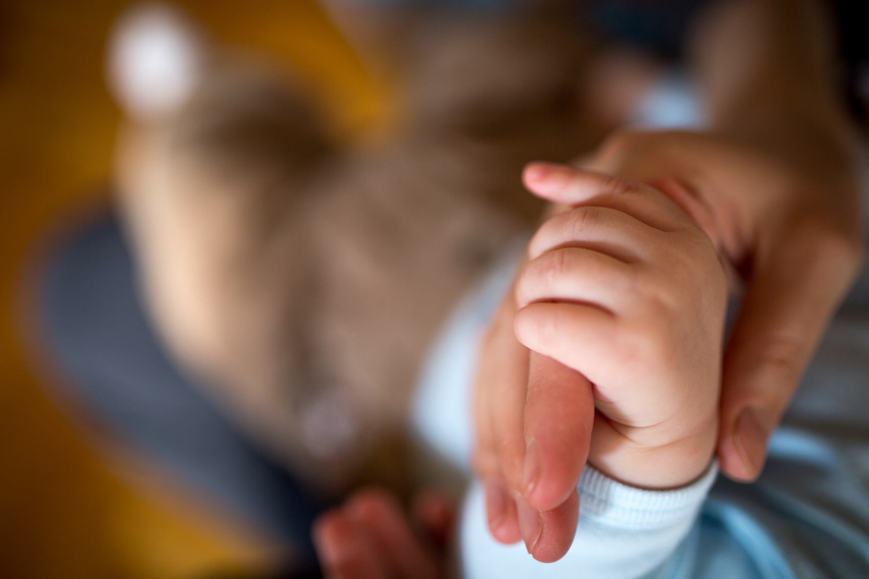 Fecondazione assistita: le nuove conquiste Fecondazione assistita: le nuove conquiste