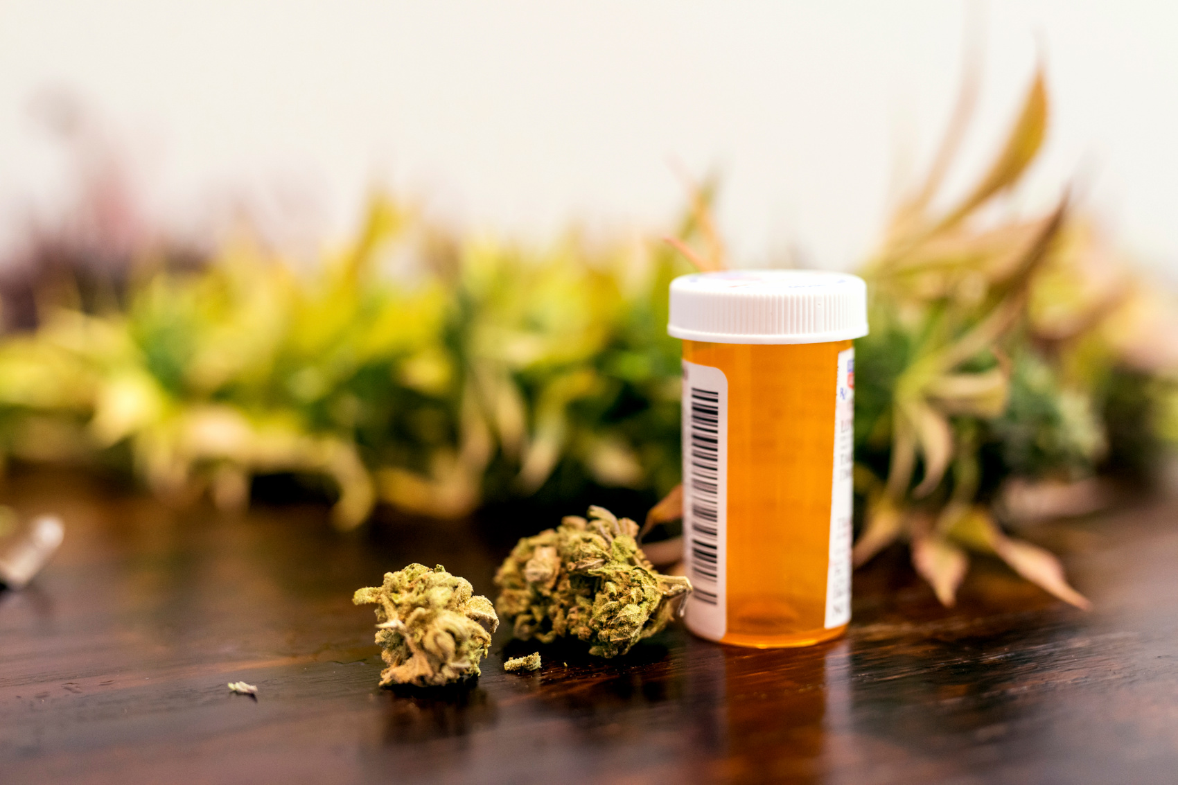 Cannabis terapeutica: come agisce e quali sono gli effetti collaterali