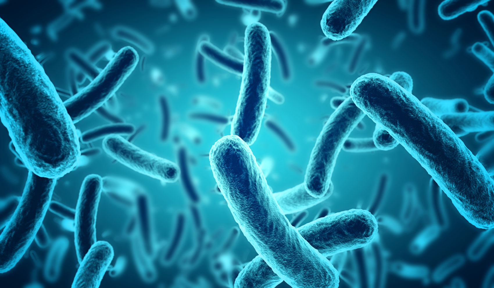 Quali sono i sintomi causati dalla salmonella? Quali sono i sintomi causati dalla salmonella?