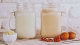 Probiotici e prebiotici: qual è la differenza?