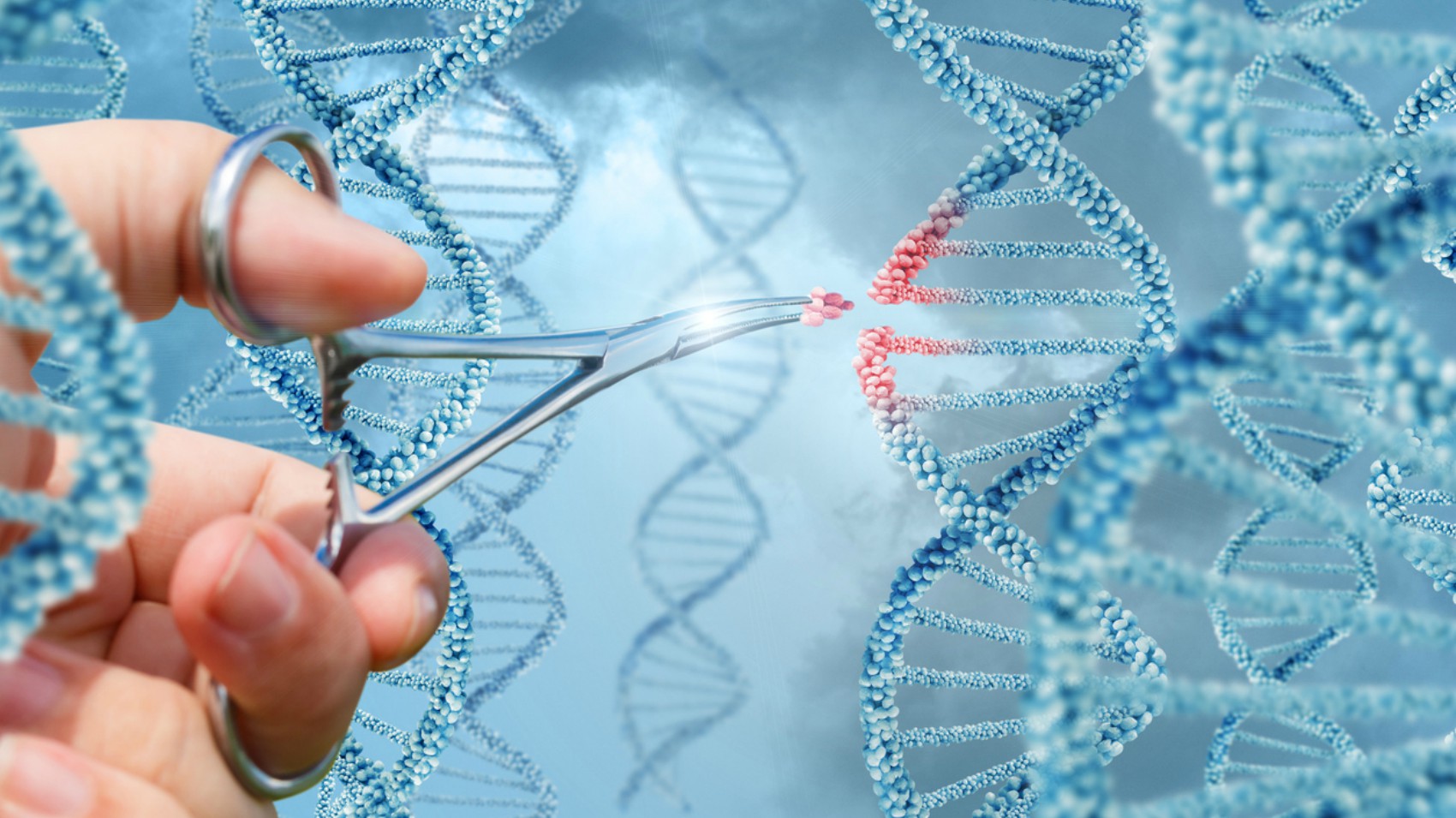 Lotta ai tumori: la nuova molecola che rivoluzionerà le cure Lotta ai tumori: la nuova molecola che rivoluzionerà le cure