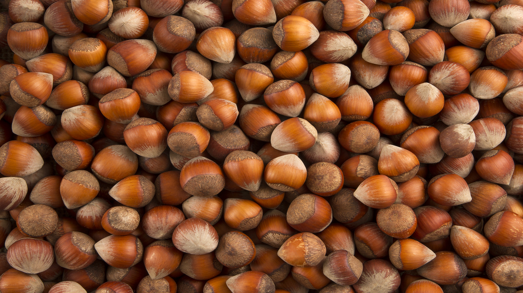 Nocciole: proprietà e benefici per la mente e il cervello Nocciole: proprietà e benefici per la mente e il cervello